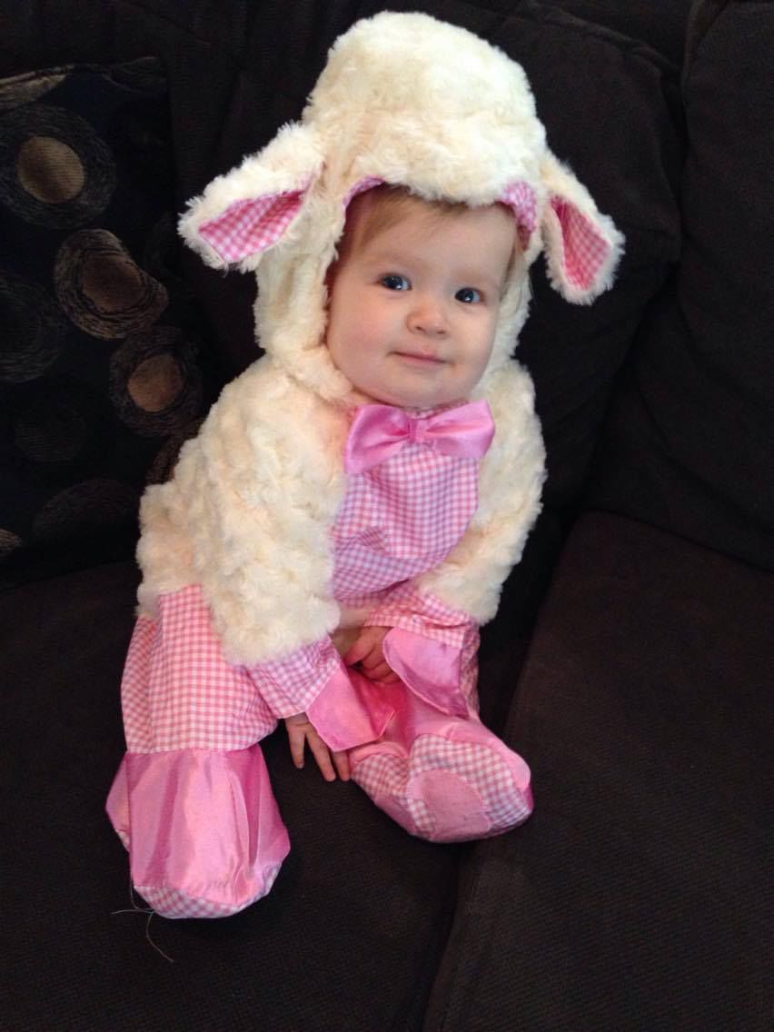 Little lamb, submitted by Sue Louis